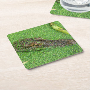 Alligator Underlägg Papper Kvadrat