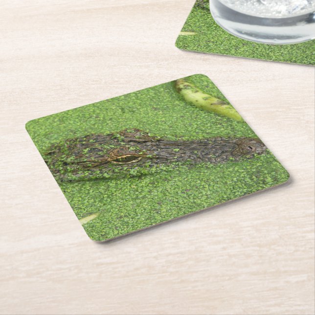 Alligator Underlägg Papper Kvadrat (Vinklad)