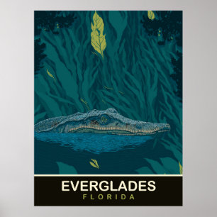Alligator vid Everglades, Florida, Resa Poster