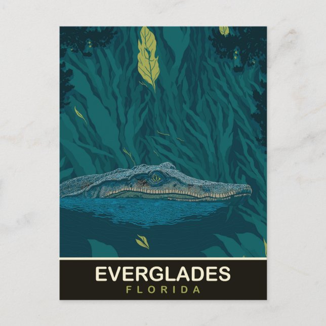 Alligator vid Everglades, Florida, Resa Vykort (Framsida)