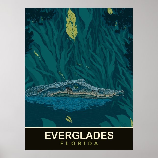 Alligator vid Everglades, Florida, Travel Poster (Framsidan)