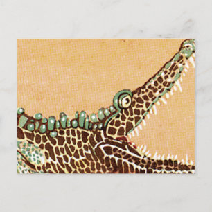 Alligator Vykort