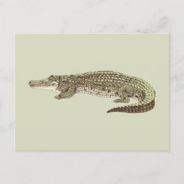 Alligator-vykort Vykort