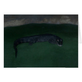 Alligator ~ What's in the Mörk? Hälsningskort