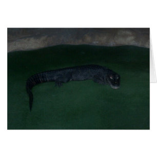 Alligator ~ What's in the Mörk? Hälsningskort