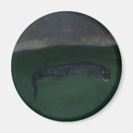 Alligator ~ What's in the Mörk? Magnet