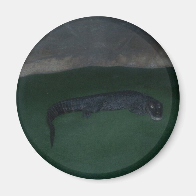 Alligator ~ What's in the Mörk? Magnet (Framsidan)