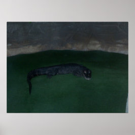 Alligator ~ What's in the Mörk? ~ Poster/Skriv ut Poster