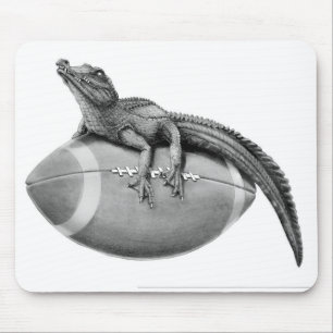 Alligatorfotboll Musmatta