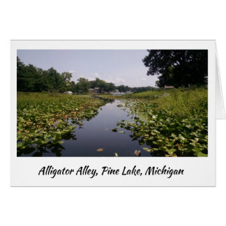 Alligatorgränd - gräs sjö hälsningskort