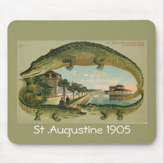Alligatorgräns St Augustine Florida 1905, St… Musmatta