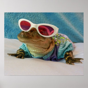 Alligatorhälsningar - behålla som ler affischen poster