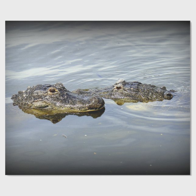 Alligatorkärlek Presentpapper (Platt)