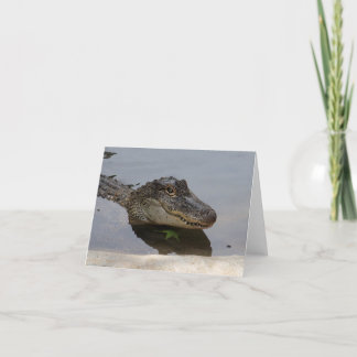 Alligatorn noterar kortet kort