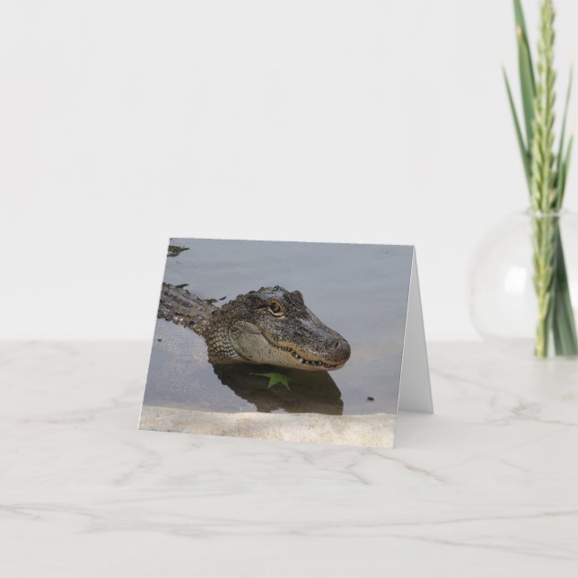 Alligatorn noterar kortet kort (Framsida)