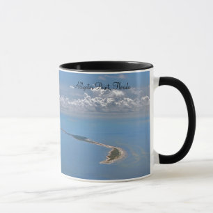 Alligatorn pekar, den Florida kaffemuggen Mugg