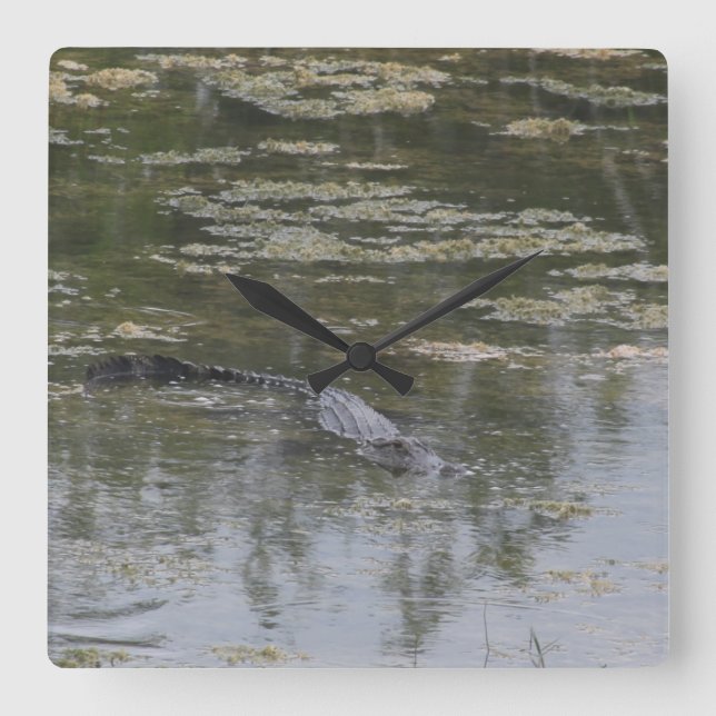 Alligatorn tar tid på fyrkantig klocka (Framsida)