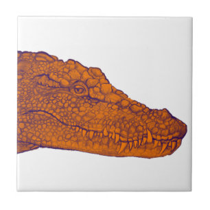 ALLIGATORÖGONKASTET KAKELPLATTA