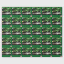 Alligatorpresentpapper