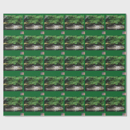 Alligatorpresentpapper Presentpapper