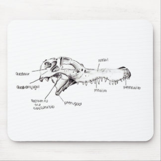 Alligatorskallediagram Musmatta