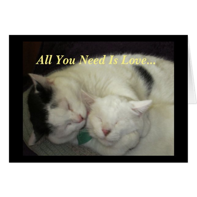 Allis & Abbie alla katterna som du behöver, är Hälsningskort (Framsidan Horizontal)