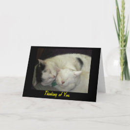 Allis & Abbie som är tänkande av dig hälsningkort Kort