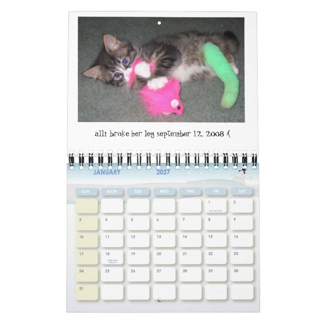 Allis mini- kalender 2009-2010 för dag (Jan 2027)