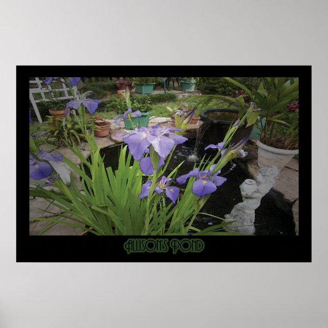 "Allison's Pond" - Skriv ut Poster (Framsidan)