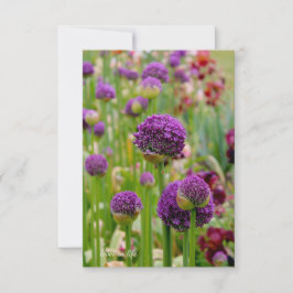 Allium Anteckningskort