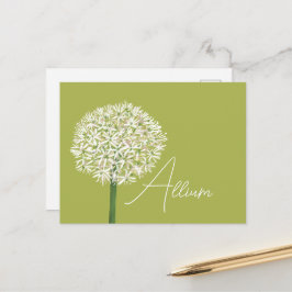 Allium Blomma Botanisk Konst | Elegant Flora Vykort