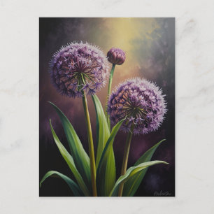 Allium blommor vykort