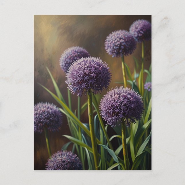 Allium blommor vykort (Framsida)