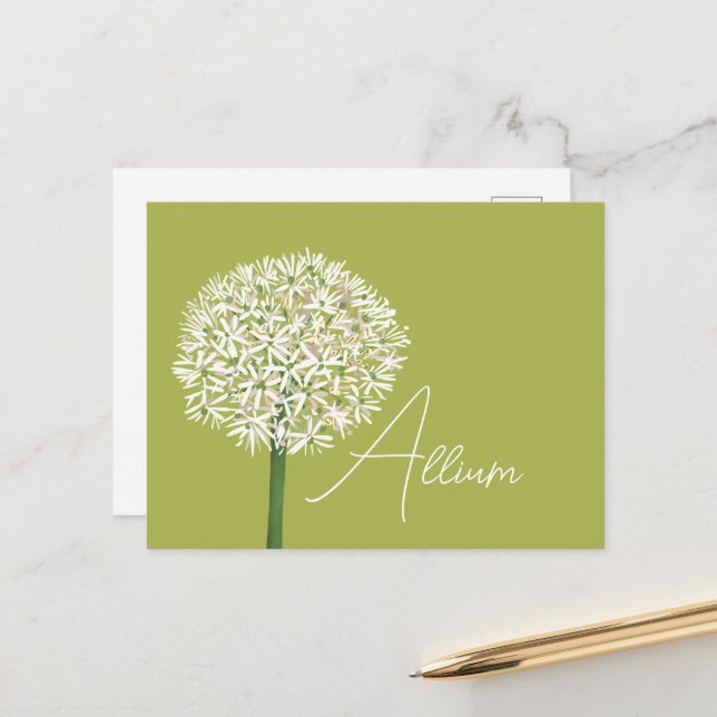  Allium Flower Botanical Art | Elegant Flora Vykort (Fram/Back In Situ)