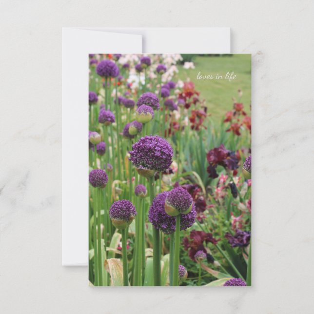 Allium & Iris Flower Bed Anteckningskort (Framsida)