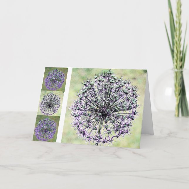 Allium Kort (Framsida)