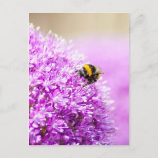 Allium med Bee Vykort