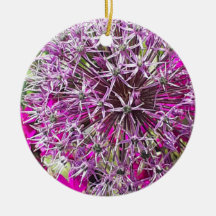 Allium & Summer Flowers