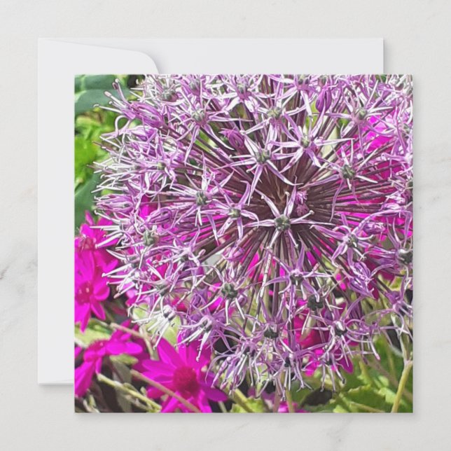 Allium & Summer Flowers - platta kort (Framsida)