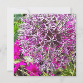 Allium & Summer Flowers - platta kort