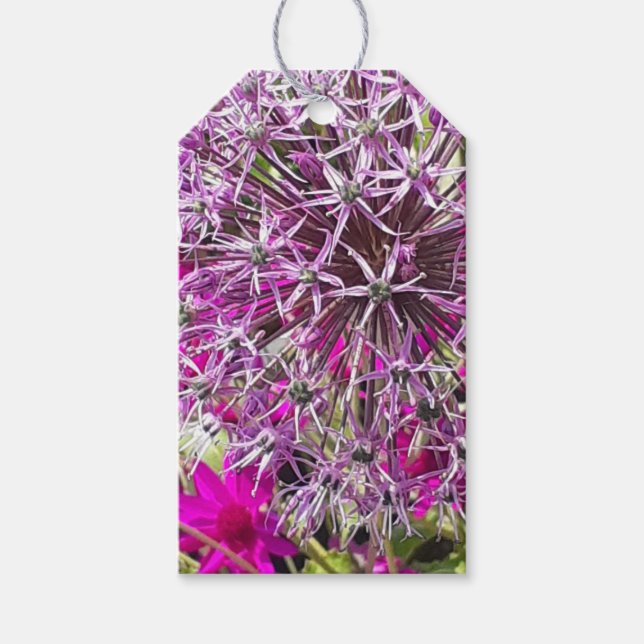 Allium & Summer Flowers Presentetikett (Framsidan)