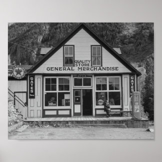 Allmän butik. Ophir, Colorado Sept 1940 Poster