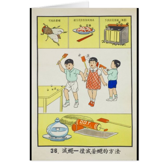 Allmän hälsa stridflugor, Taiwan 1959 Hälsningskort (Framsidan)