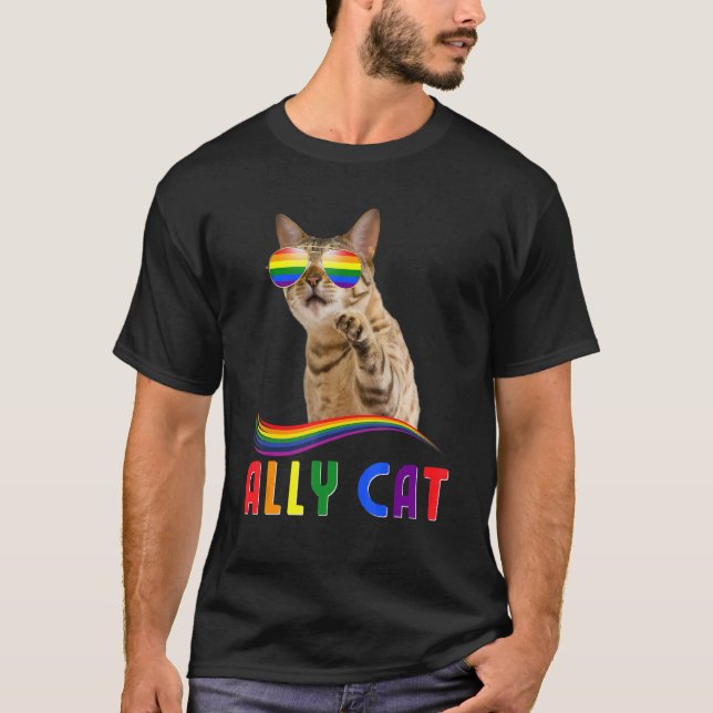 Allmän katt av Lgbtq+-Pride med regnbåge av solgla T Shirt (Framsida)