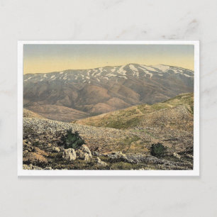 Allmän syn, Mount Hermon, Heliga Land (dvs. Leban Vykort