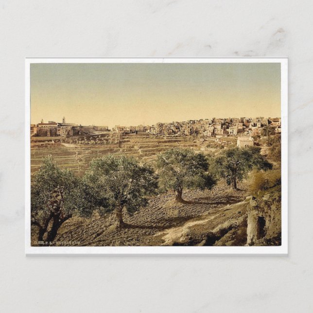 Allmän syn på David, Betlehem, Heliga Vykort (Framsida)