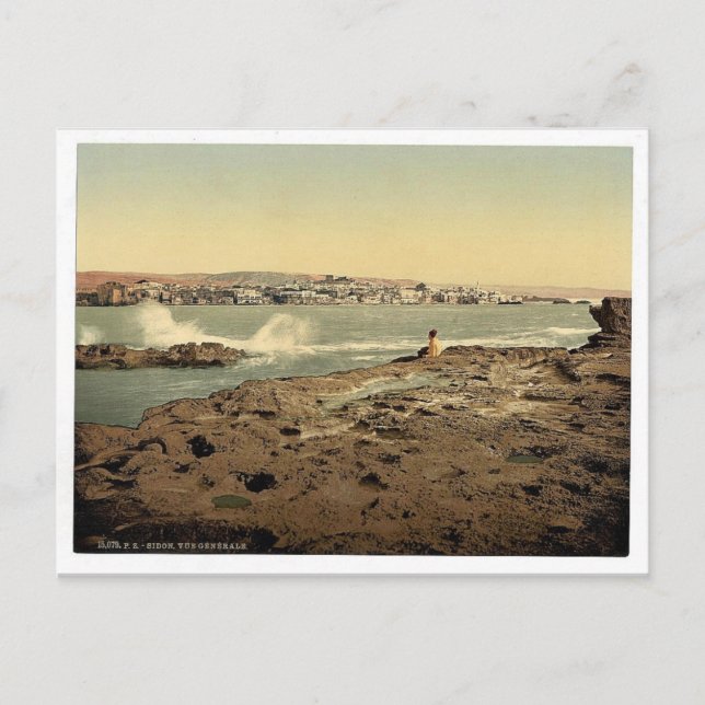 Allmän syn, Sidon, Heliga Land, (dvs. Libanon) cla Vykort (Framsida)