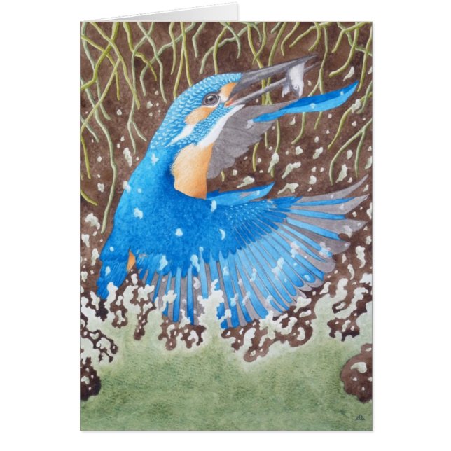 Allmänningkingfisheren Hälsningskort (Framsidan)