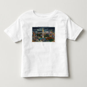 Allmänt beskåda av Luna Park på natten T Shirt