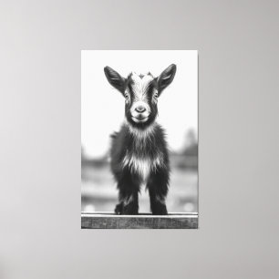 Allokering av Monochromatisk, graciös Baby goat Po Canvastryck